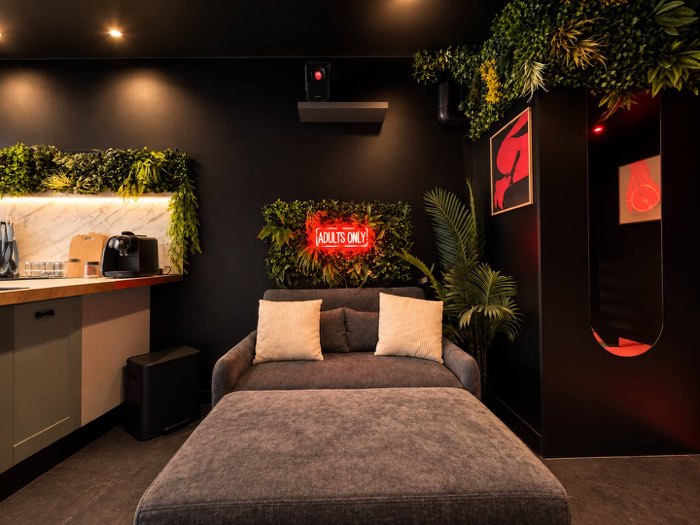 Suite Pothos, love room à Souppes-sur-Loing — photo 3