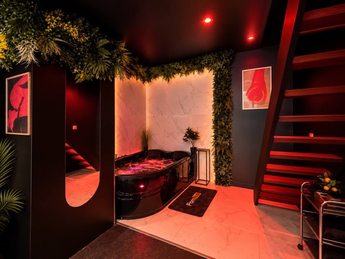 Suite Pothos, love room à Souppes-sur-Loing — photo 9