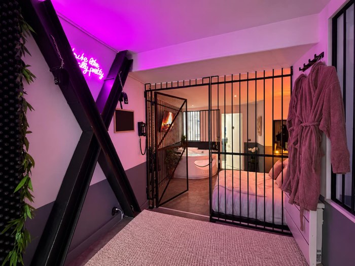 Suite Psyché, love room à Souppes-sur-Loing — photo 3